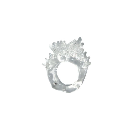 Anillo Agua