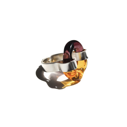 Anillo Horizonte